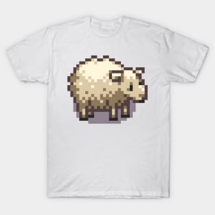 Sheep T-Shirt